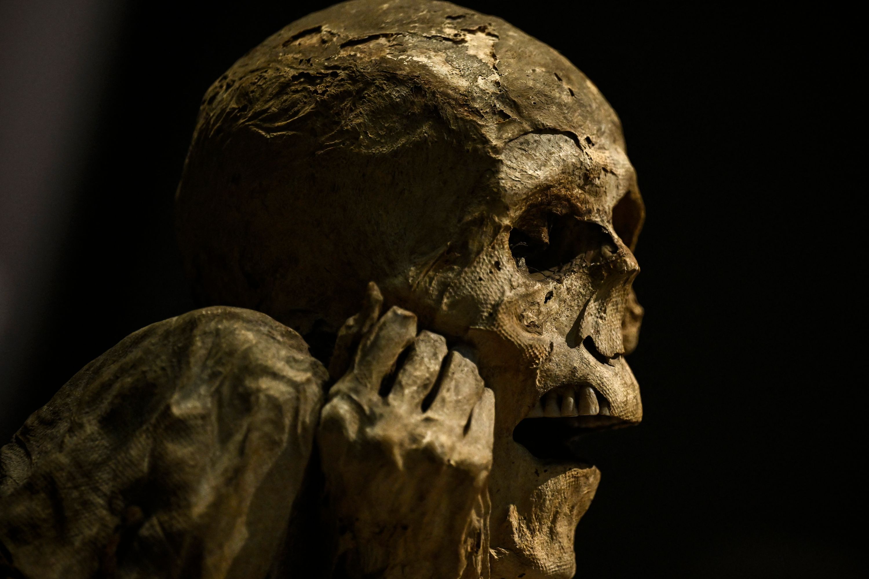 Exposition : le Musée de l'Homme propose de percer le mystère des momies