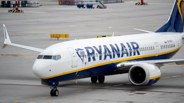 «Je n'avais jamais vu ça» : des centaines de moustiques sèment la pagaille dans deux avions Ryanair en Italie