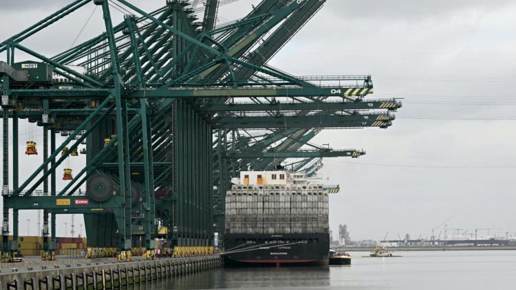Fuite toxique au port d'Anvers : 127 travailleurs intoxiqués et le trafic maritime perturbé