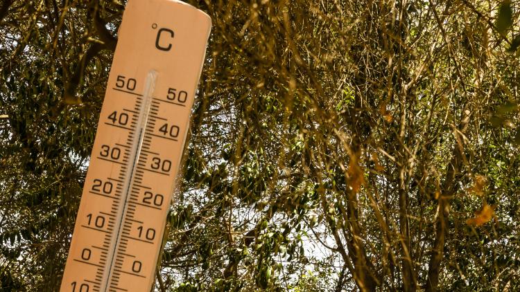 Canicule : la France va-t-elle dépasser le seuil des 50 degrés dans un futur proche ?