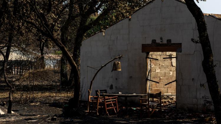 Incendies en Gironde : la préfète promet d’accélérer le passage des experts en assurances