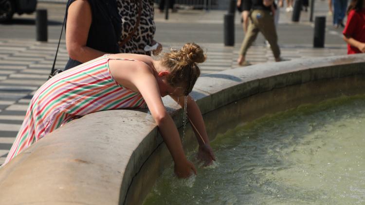 Canicule : l'année 2026 efface toutes les statistiques jusqu'ici enregistrées