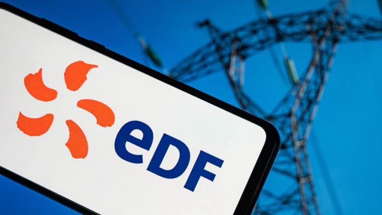 Méduses et canicule poussent l'indisponibilité environnementale du parc nucléaire d'EDF à un record de 20,4%